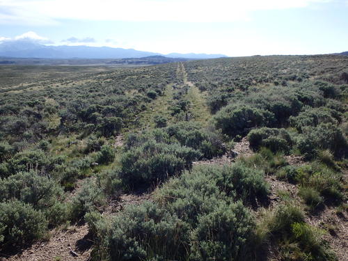 GDMBR: Old Wheel Ruts from the Wagons and Wagon Trains.